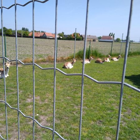 De Lekkermond Konuk evi Diksmuide Dış mekan fotoğraf