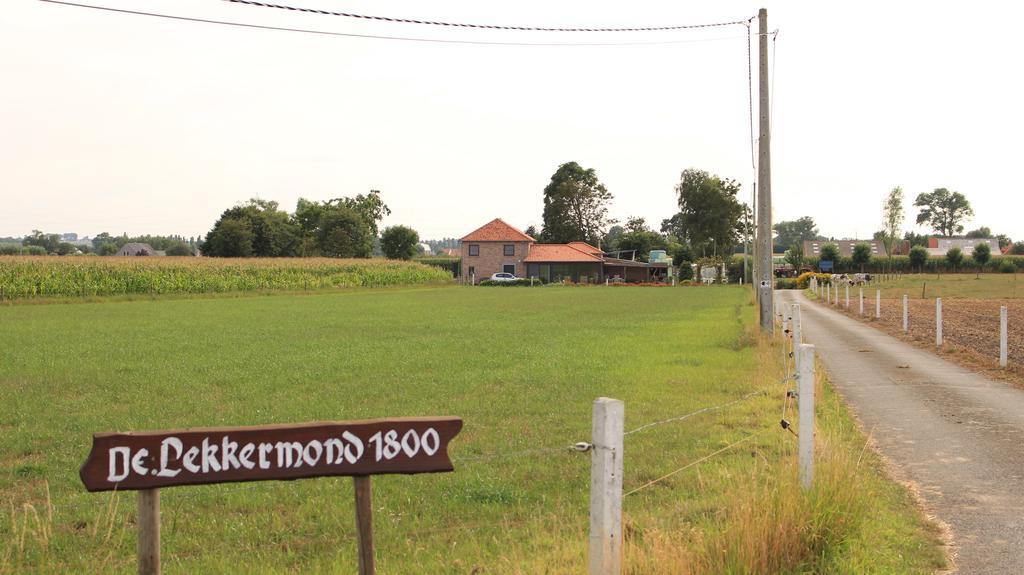 De Lekkermond Konuk evi Diksmuide Dış mekan fotoğraf
