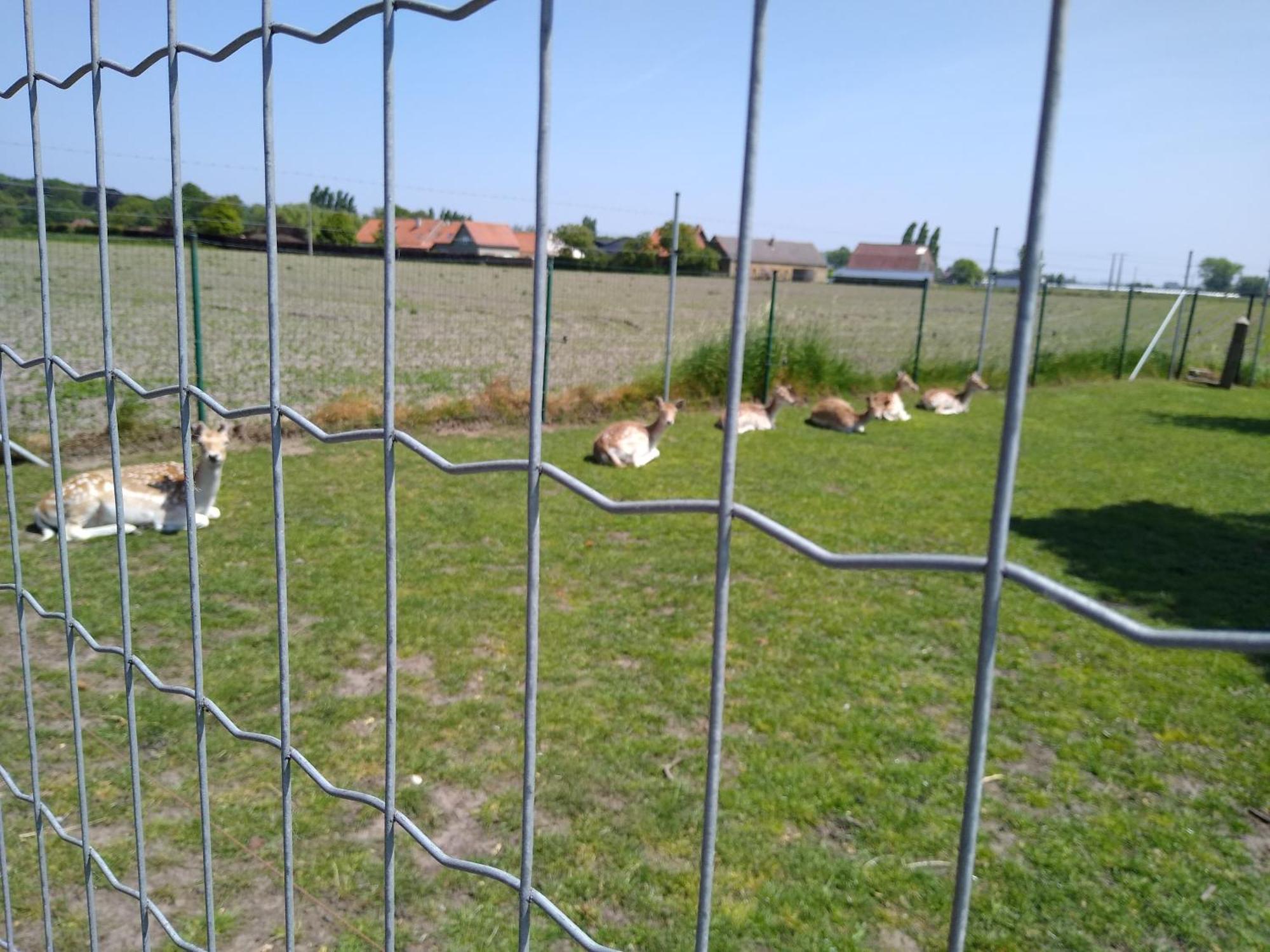 De Lekkermond Konuk evi Diksmuide Dış mekan fotoğraf